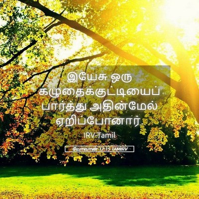 Picture 05 - யோவான் 12:15 TAMIRV - இயேசு ஒரு - Bible Verse Picture