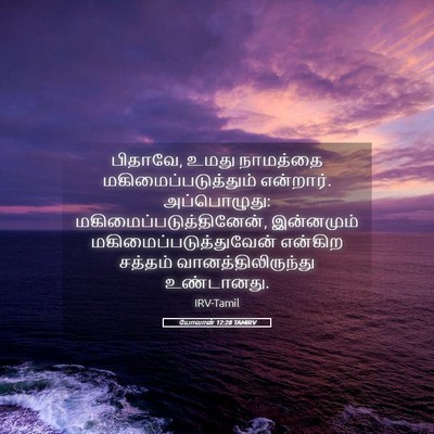 Picture 05 - யோவான் 12:28 TAMIRV - பிதாவே, உமது - Bible Verse Picture