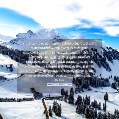 Picture 05 - யோவான் 12:3 TAMIRV - அப்பொழுது மரியாள் - Bible Verse Picture