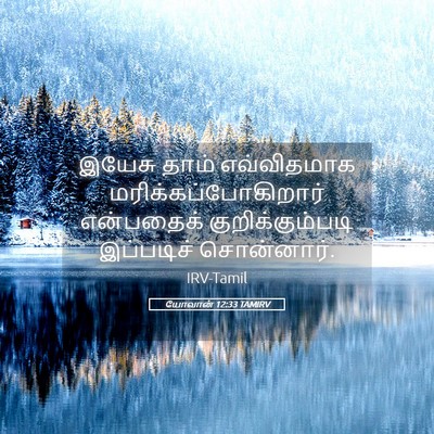 Picture 05 - யோவான் 12:33 TAMIRV - இயேசு தாம் - Bible Verse Picture