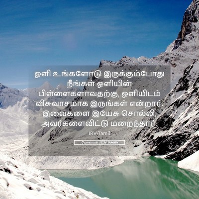 Picture 05 - யோவான் 12:36 TAMIRV - ஒளி உங்களோடு - Bible Verse Picture