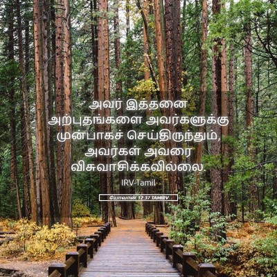 Picture 05 - யோவான் 12:37 TAMIRV - அவர் இத்தனை - Bible Verse Picture