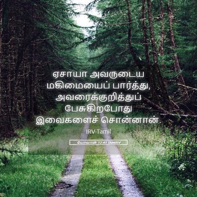 Picture 05 - யோவான் 12:41 TAMIRV - ஏசாயா அவருடைய - Bible Verse Picture