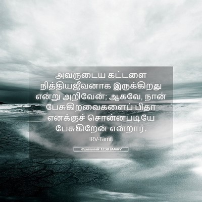 Picture 05 - யோவான் 12:50 TAMIRV - அவருடைய கட்டளை - Bible Verse Picture