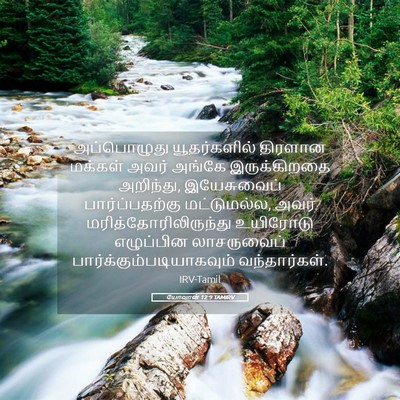 Picture 05 - யோவான் 12:9 TAMIRV - அப்பொழுது - Bible Verse Picture