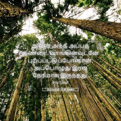 Picture 05 - யோவான் 13:30 TAMIRV - அவன் அந்த அப்பத் - Bible Verse Picture