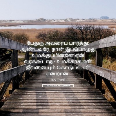 Picture 05 - யோவான் 13:37 TAMIRV - பேதுரு அவரைப் - Bible Verse Picture