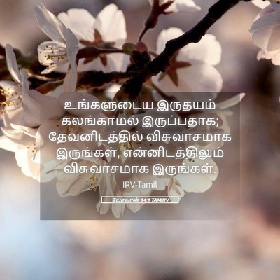 Picture 05 - யோவான் 14:1 TAMIRV - உங்களுடைய இருதயம் - Bible Verse Picture