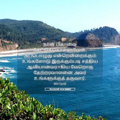 Picture 05 - யோவான் 14:16 TAMIRV - நான் பிதாவை - Bible Verse Picture