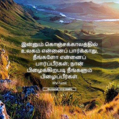 Picture 05 - யோவான் 14:19 TAMIRV - இன்னும் - Bible Verse Picture