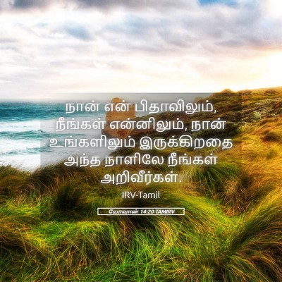 Picture 05 - யோவான் 14:20 TAMIRV - நான் என் - Bible Verse Picture