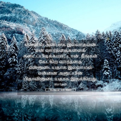 Picture 05 - யோவான் 14:24 TAMIRV - என்னில் அன்பாக - Bible Verse Picture
