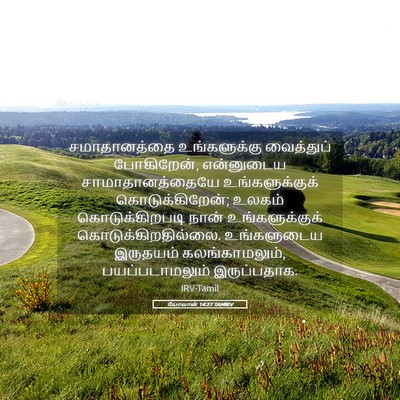 Picture 05 - யோவான் 14:27 TAMIRV - சமாதானத்தை - Bible Verse Picture