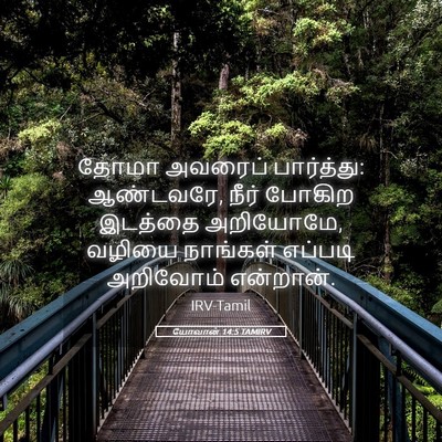 Picture 05 - யோவான் 14:5 TAMIRV - தோமா அவரைப் - Bible Verse Picture