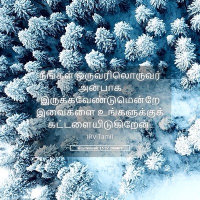 Picture 05 - யோவான் 15:17 TAMIRV - நீங்கள் - Bible Verse Picture