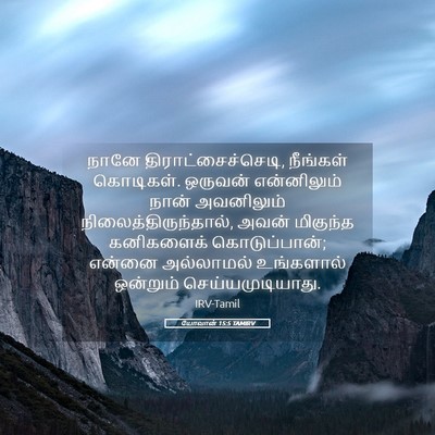 Picture 05 - யோவான் 15:5 TAMIRV - நானே - Bible Verse Picture