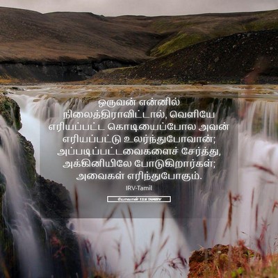 Picture 05 - யோவான் 15:6 TAMIRV - ஒருவன் என்னில் - Bible Verse Picture