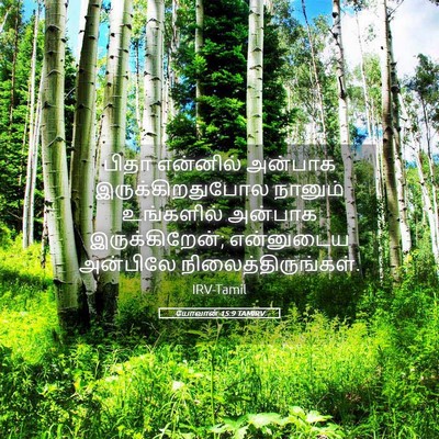 Picture 05 - யோவான் 15:9 TAMIRV - பிதா என்னில் - Bible Verse Picture