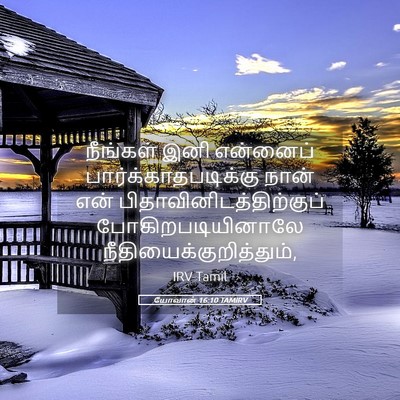 Picture 05 - யோவான் 16:10 TAMIRV - நீங்கள் இனி - Bible Verse Picture