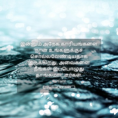 Picture 05 - யோவான் 16:12 TAMIRV - இன்னும் அநேக - Bible Verse Picture