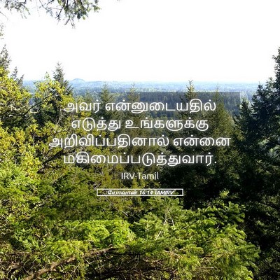 Picture 05 - யோவான் 16:14 TAMIRV - அவர் என்னுடையதில் - Bible Verse Picture