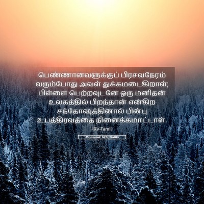 Picture 05 - யோவான் 16:21 TAMIRV - பெண்ணானவளுக்குப் - Bible Verse Picture