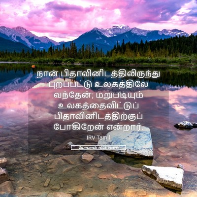 Picture 05 - யோவான் 16:28 TAMIRV - நான் - Bible Verse Picture