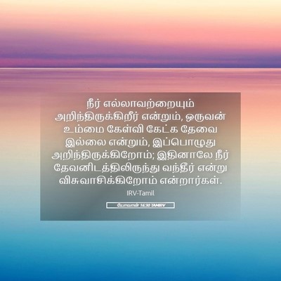 Picture 05 - யோவான் 16:30 TAMIRV - நீர் - Bible Verse Picture