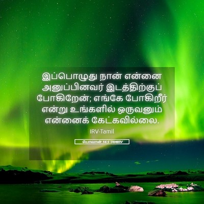 Picture 05 - யோவான் 16:5 TAMIRV - இப்பொழுது நான் - Bible Verse Picture