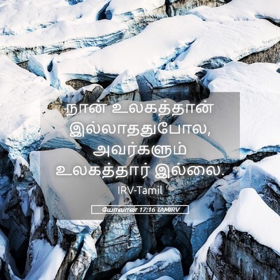 Picture 05 - யோவான் 17:16 TAMIRV - நான் உலகத்தான் - Bible Verse Picture