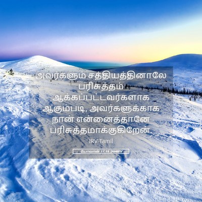 Picture 05 - யோவான் 17:19 TAMIRV - அவர்களும் - Bible Verse Picture