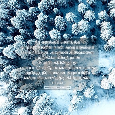 Picture 05 - யோவான் 17:8 TAMIRV - நீர் எனக்குக் - Bible Verse Picture