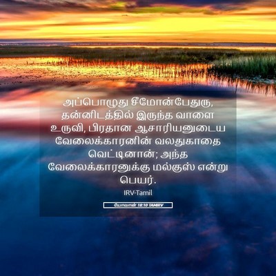 Picture 05 - யோவான் 18:10 TAMIRV - அப்பொழுது - Bible Verse Picture