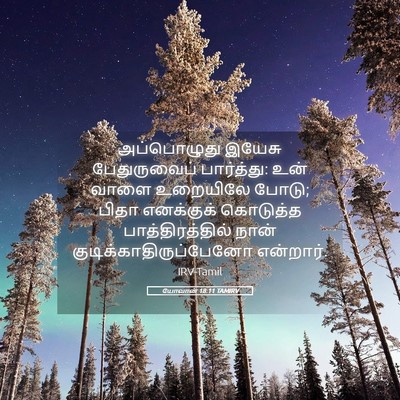Picture 05 - யோவான் 18:11 TAMIRV - அப்பொழுது இயேசு - Bible Verse Picture