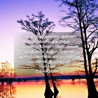 Picture 05 - யோவான் 18:13 TAMIRV - முதலாவது அவரை - Bible Verse Picture