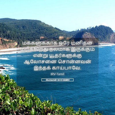 Picture 05 - யோவான் 18:14 TAMIRV - மக்களுக்காக ஒரே - Bible Verse Picture