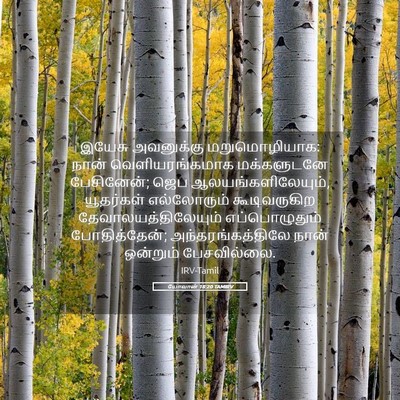 Picture 05 - யோவான் 18:20 TAMIRV - இயேசு அவனுக்கு - Bible Verse Picture