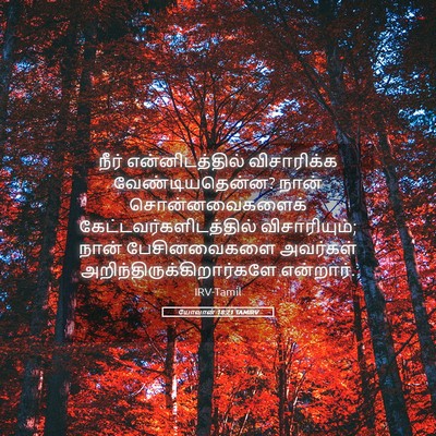 Picture 05 - யோவான் 18:21 TAMIRV - நீர் என்னிடத்தில் - Bible Verse Picture