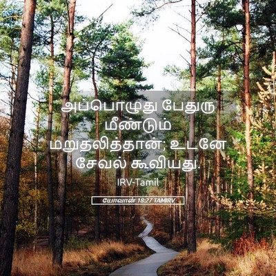 Picture 05 - யோவான் 18:27 TAMIRV - அப்பொழுது பேதுரு - Bible Verse Picture