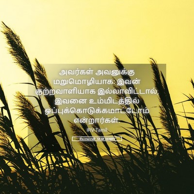 Picture 05 - யோவான் 18:30 TAMIRV - அவர்கள் அவனுக்கு - Bible Verse Picture