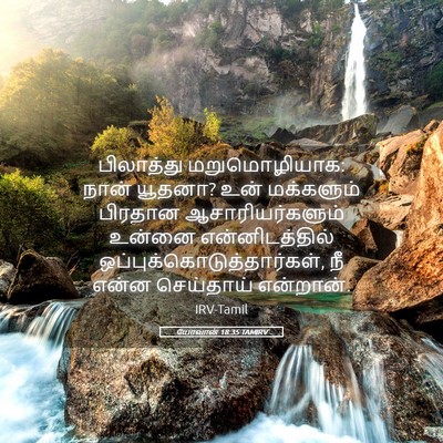 Picture 05 - யோவான் 18:35 TAMIRV - பிலாத்து - Bible Verse Picture
