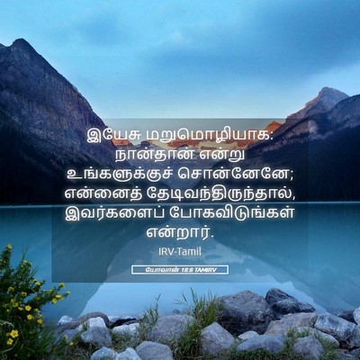 Picture 05 - யோவான் 18:8 TAMIRV - இயேசு மறுமொழியாக: - Bible Verse Picture
