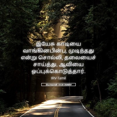 Picture 05 - யோவான் 19:30 TAMIRV - இயேசு காடியை - Bible Verse Picture