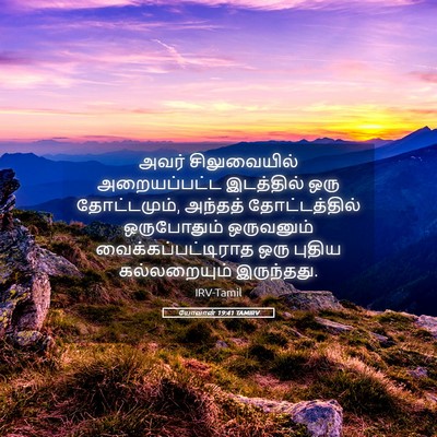 Picture 05 - யோவான் 19:41 TAMIRV - அவர் சிலுவையில் - Bible Verse Picture