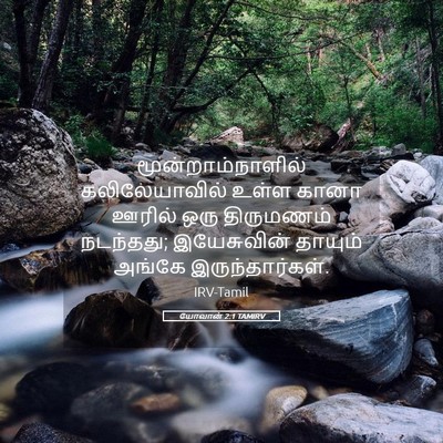 Picture 05 - யோவான் 2:1 TAMIRV - மூன்றாம்நாளில் - Bible Verse Picture