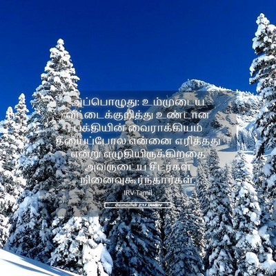 Picture 05 - யோவான் 2:17 TAMIRV - அப்பொழுது: - Bible Verse Picture