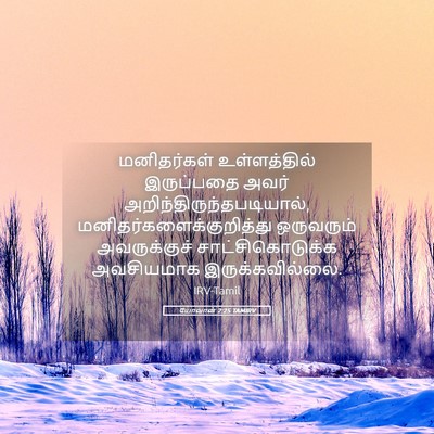 Picture 05 - யோவான் 2:25 TAMIRV - மனிதர்கள் - Bible Verse Picture