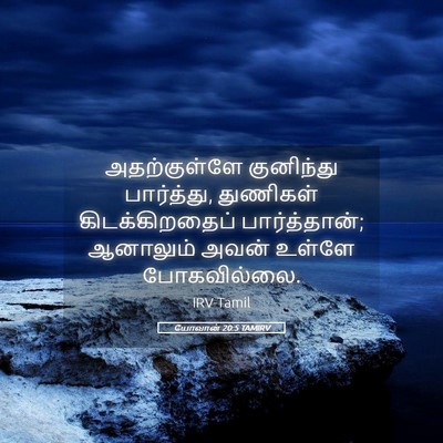 Picture 05 - யோவான் 20:5 TAMIRV - அதற்குள்ளே - Bible Verse Picture