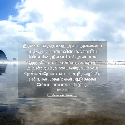 Picture 05 - யோவான் 21:16 TAMIRV - இரண்டாவதுமுறை - Bible Verse Picture
