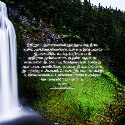 Picture 05 - யோவான் 21:18 TAMIRV - நீ - Bible Verse Picture
